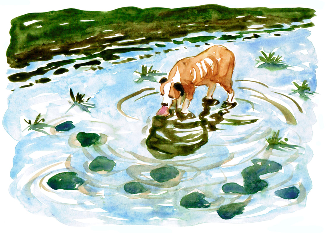 Picture
